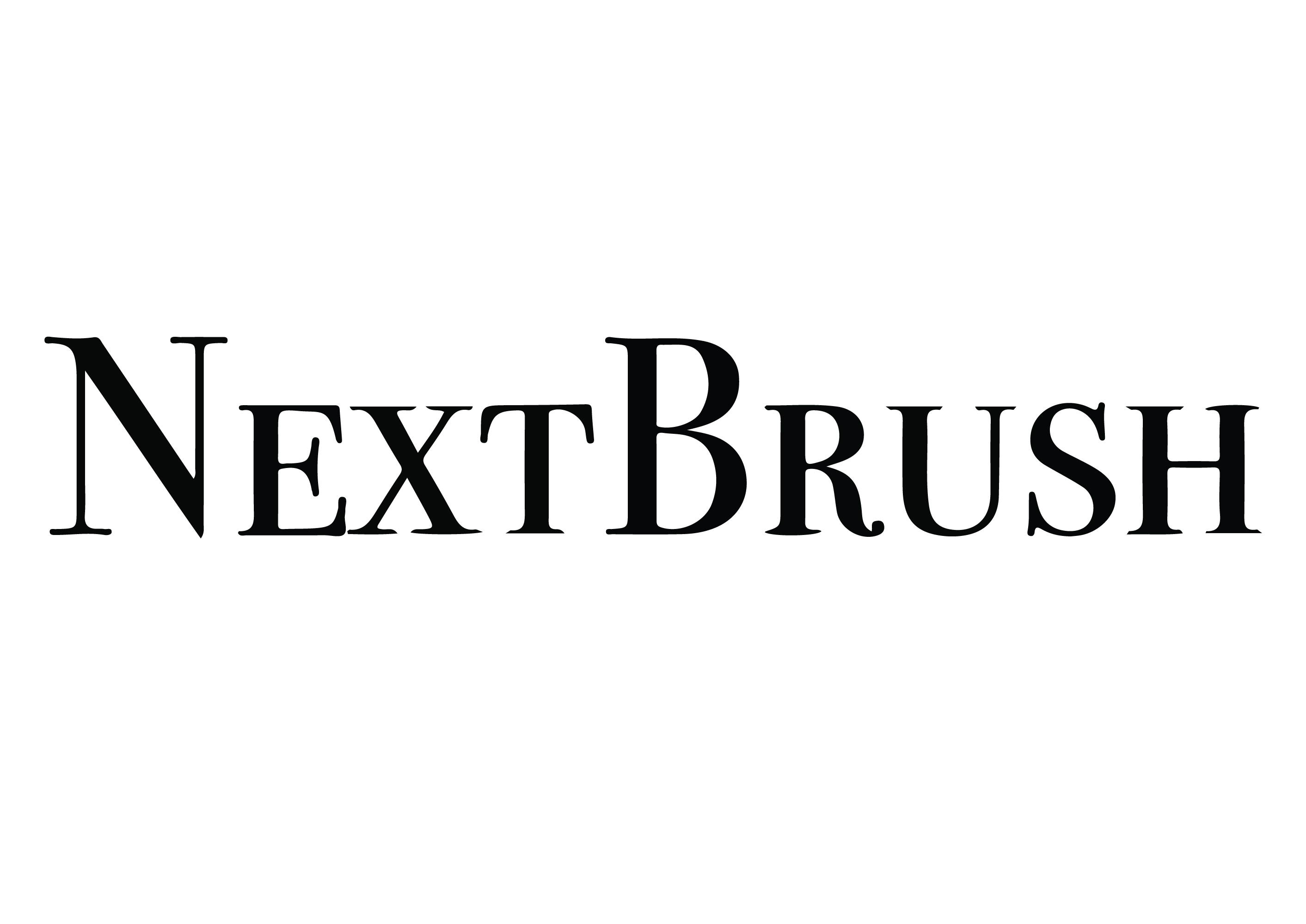 NEXT BRUSH